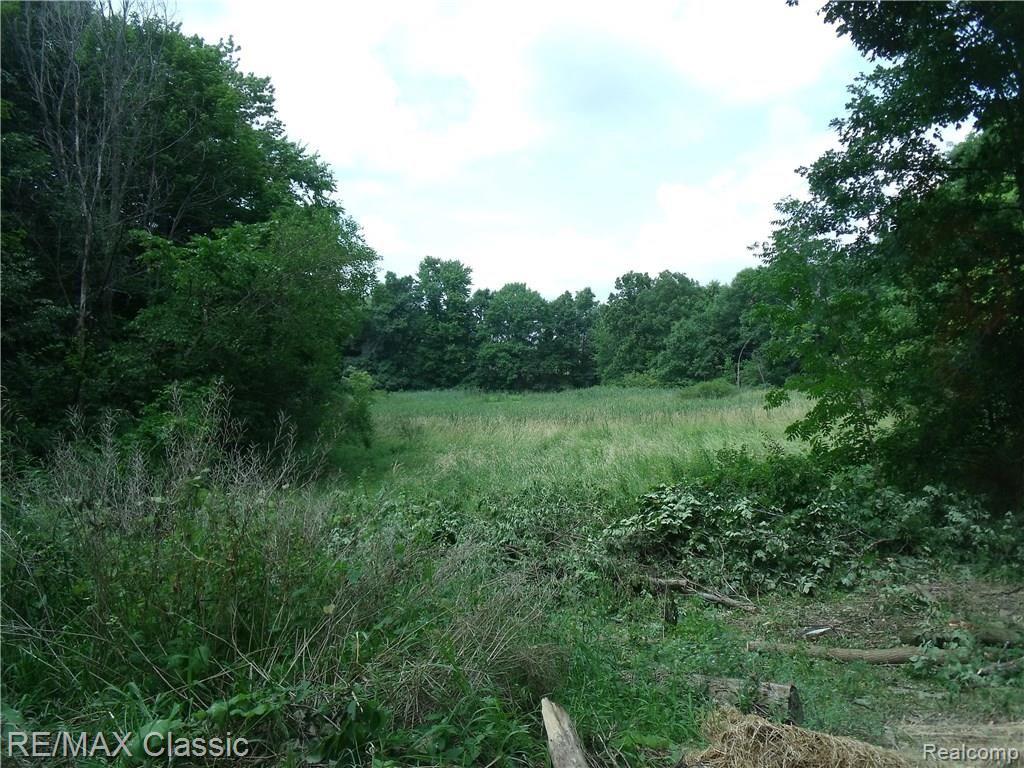 0 Rattalee Lake Rd J Two High Elevation Knolls Holly, MI 48442 - Photo 2 of 4