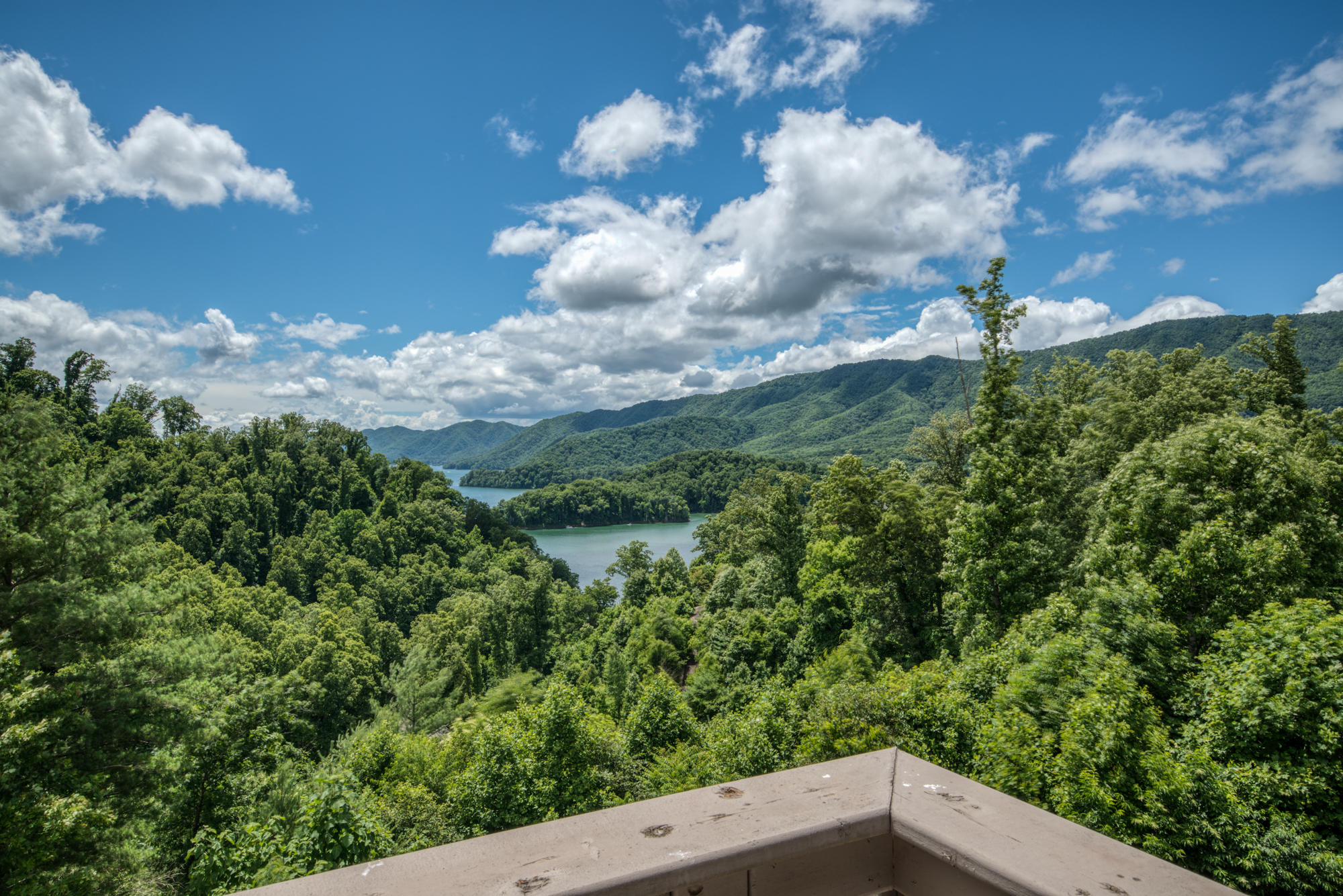 217 Roundabout Way Butler, TN 37640 - Photo 62 of 94 DSC_7430_34