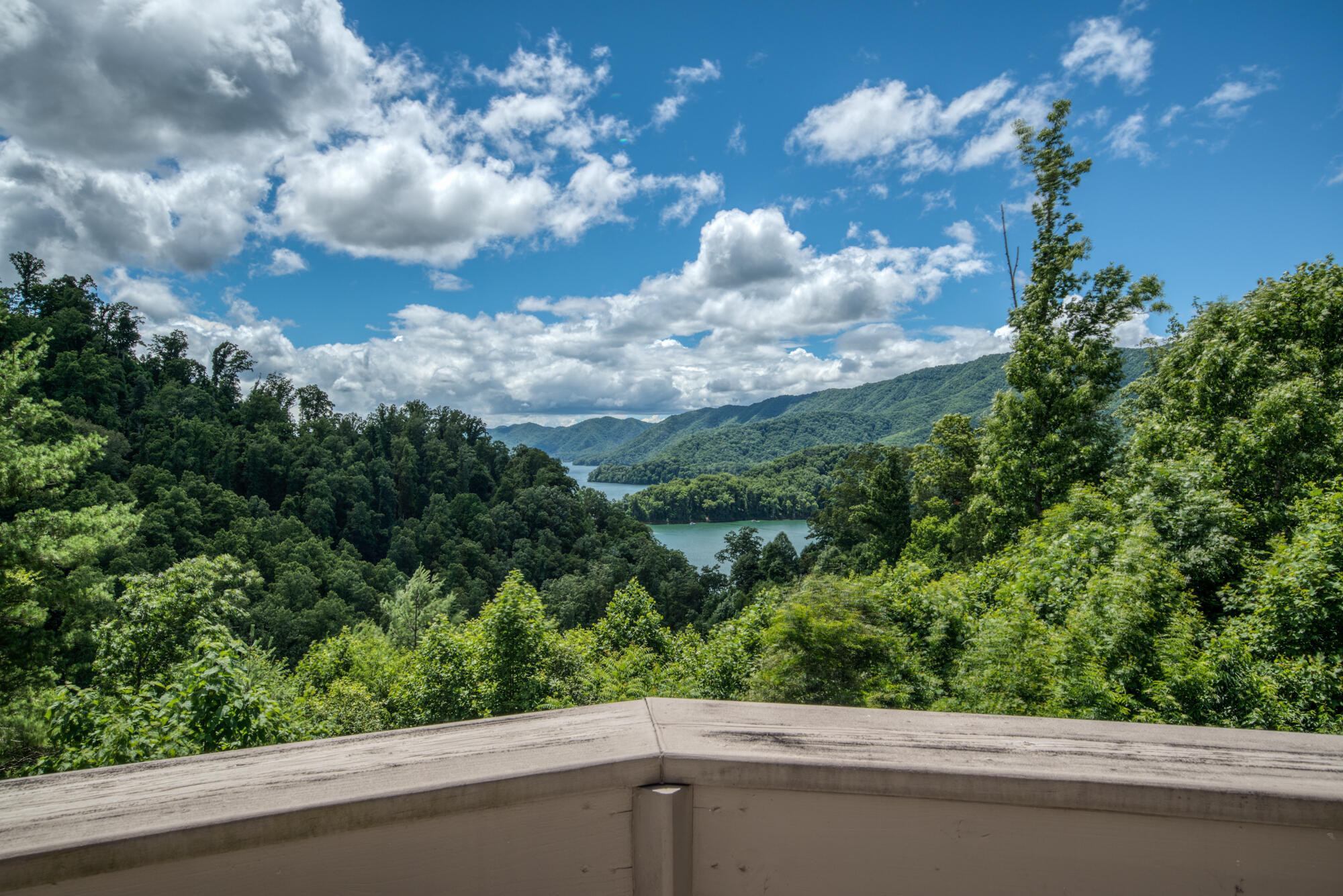 217 Roundabout Way Butler, TN 37640 - Photo 74 of 94 DSC_7396_27