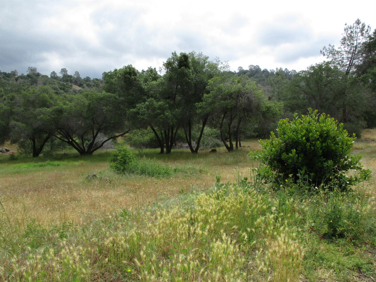 30666 Hogans Mountain Road Coarsegold, CA 93614 - Photo 17 of 17