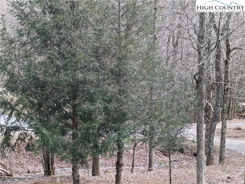 330 Sugarworth Mountain Road Boone, NC 28607 - Photo 14 of 43