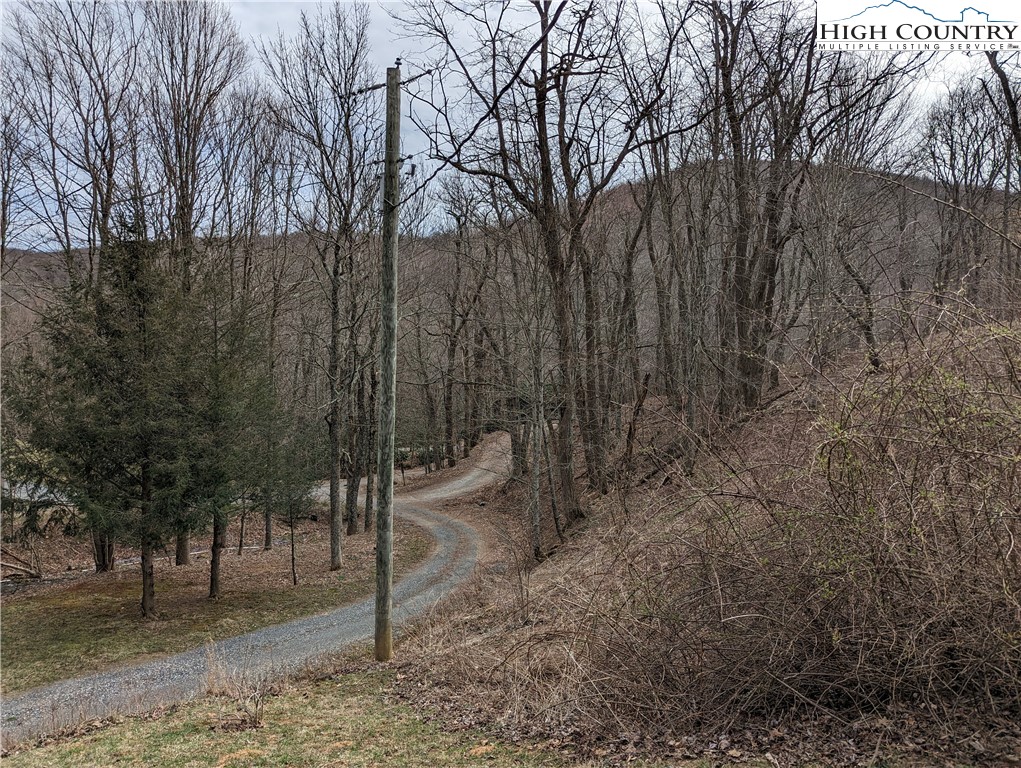 330 Sugarworth Mountain Road Boone, NC 28607 - Photo 15 of 43 a view of a forest with a tree