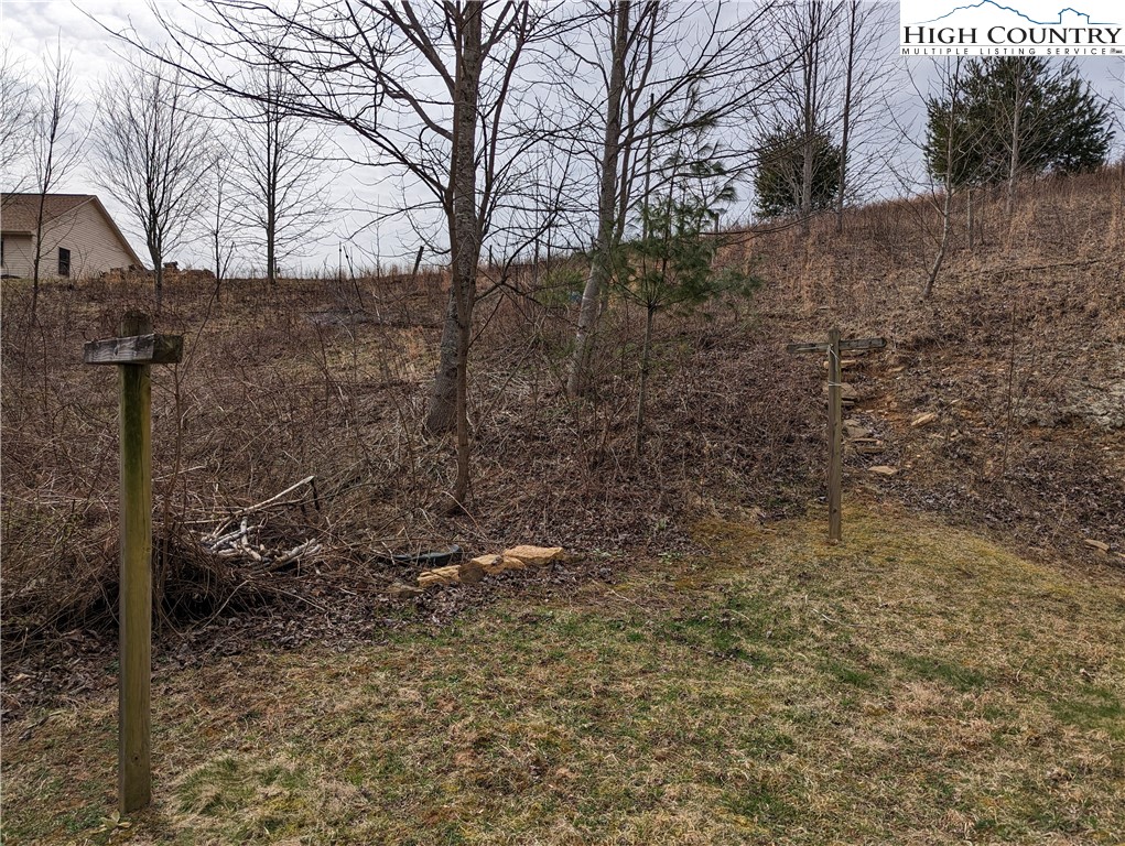 330 Sugarworth Mountain Road Boone, NC 28607 - Photo 16 of 43 a view of a pathway of a yard