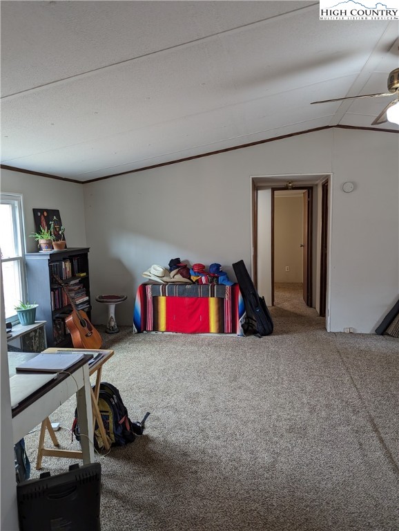 330 Sugarworth Mountain Road Boone, NC 28607 - Photo 17 of 43 a view of a room with gym equipment