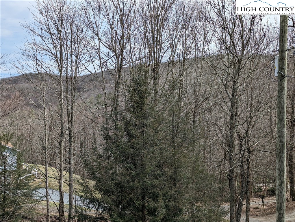 330 Sugarworth Mountain Road Boone, NC 28607 - Photo 2 of 43 a view of a forest filled with trees