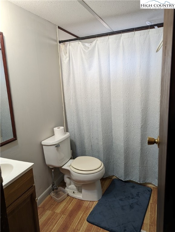 330 Sugarworth Mountain Road Boone, NC 28607 - Photo 36 of 43 a bathroom with a toilet and a shower curtain