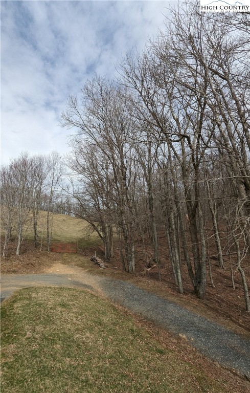 330 Sugarworth Mountain Road Boone, NC 28607 - Photo 8 of 43 a view of a dry yard with trees