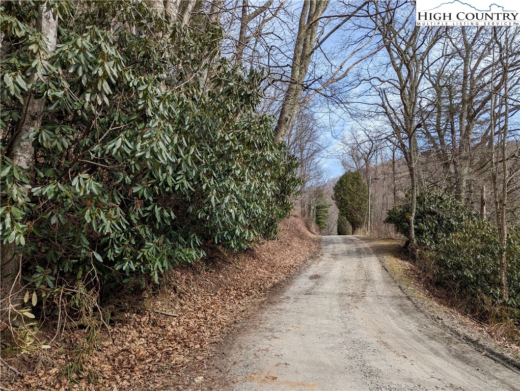 330 Sugarworth Mountain Road Boone, NC 28607 - Photo 10 of 43 a view of a yard with plants and trees