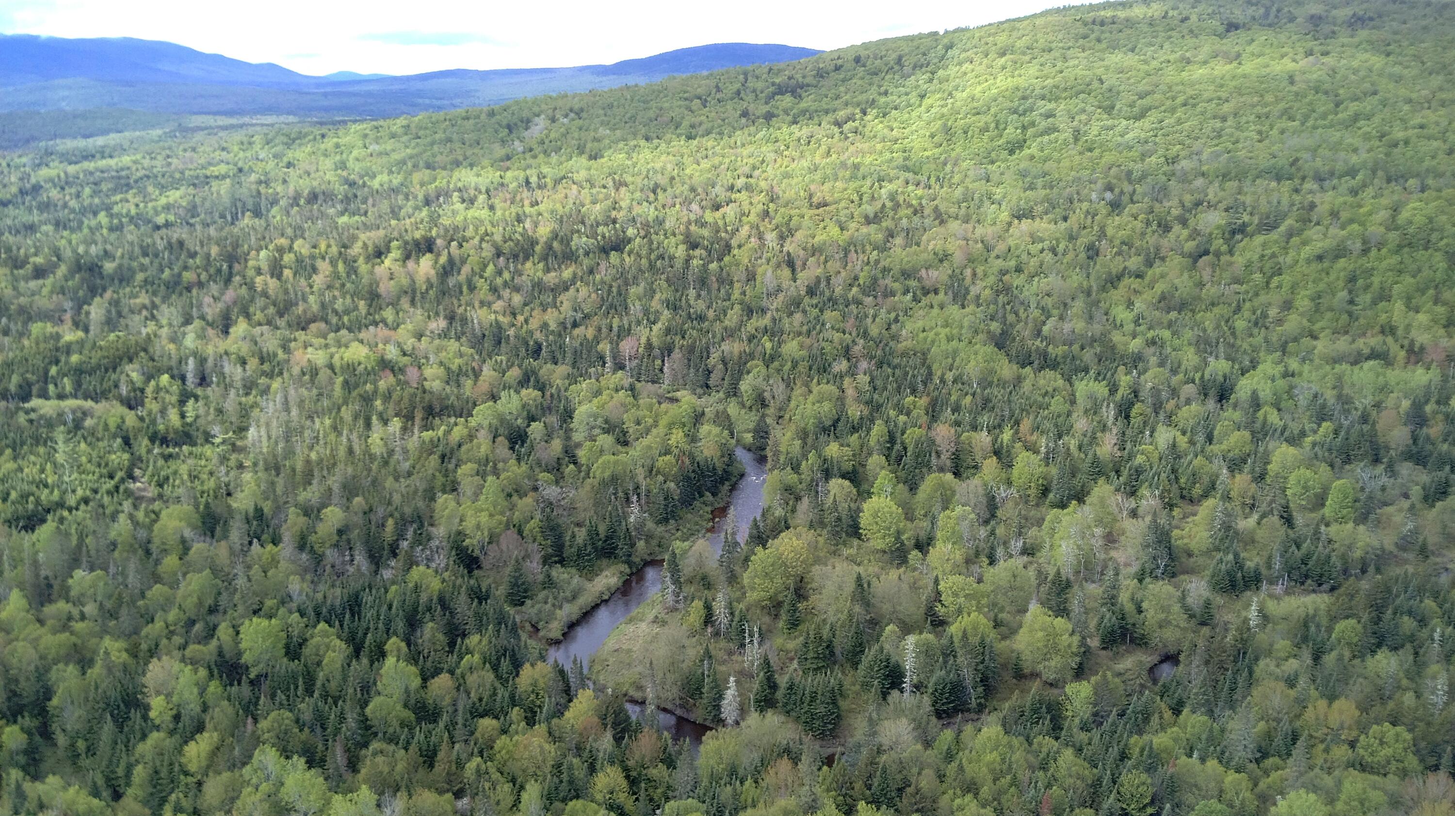 M10-l18e East B Hill Road Newry, ME 04261 - Photo 12 of 38 20260530_091655_000