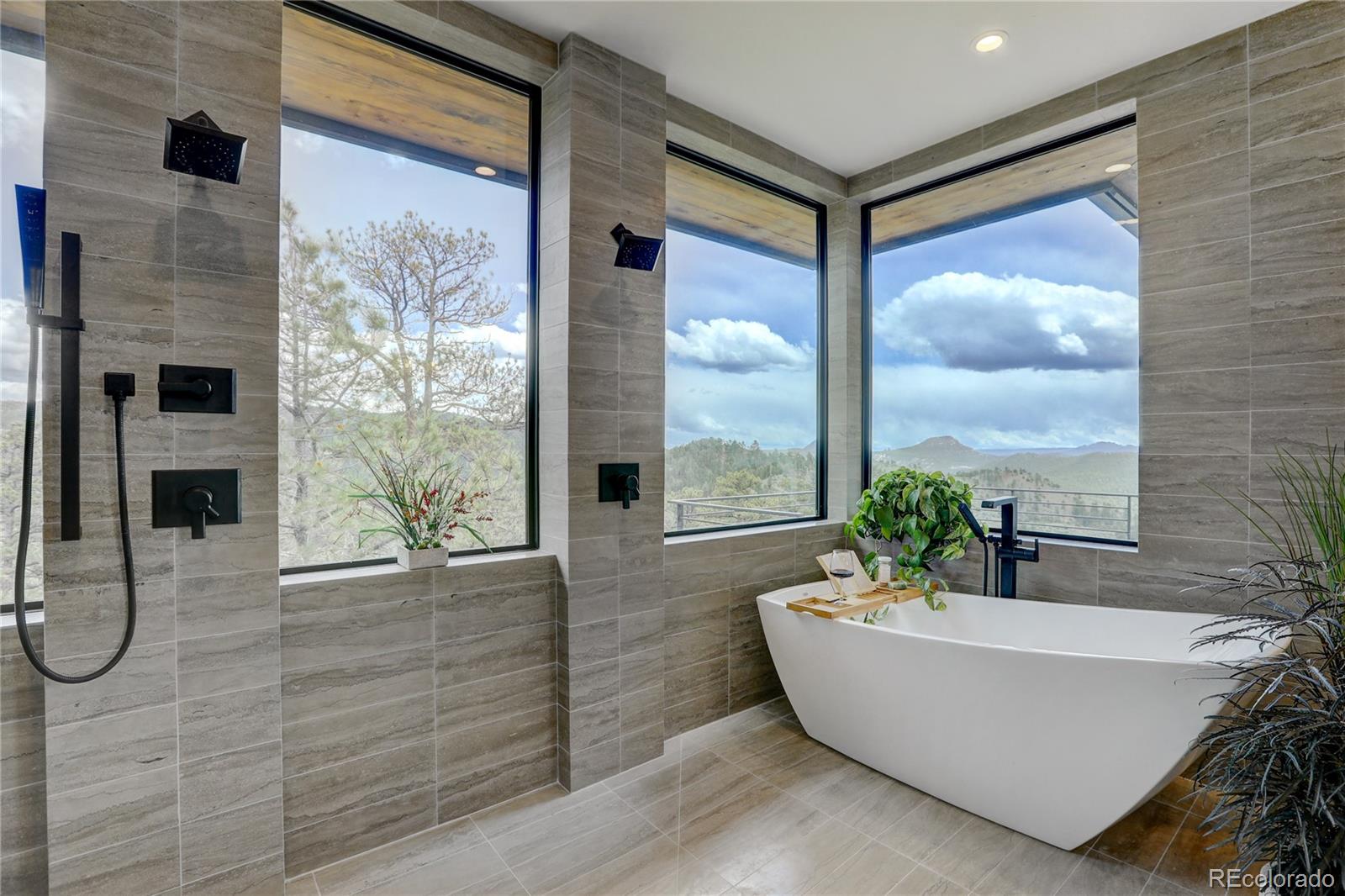 31995 Half Peak Trail Pine, CO 80470 - Photo 19 of 40 a view of a bath tub sitting in a room