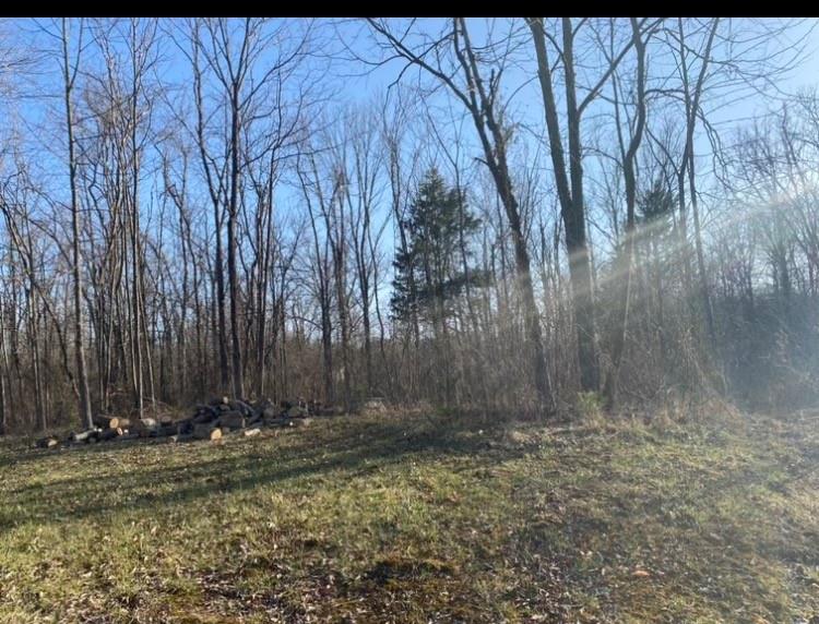 0 Cope Road Martinsville, IN 46151 - Photo 1 of 2 Gallery Image 1