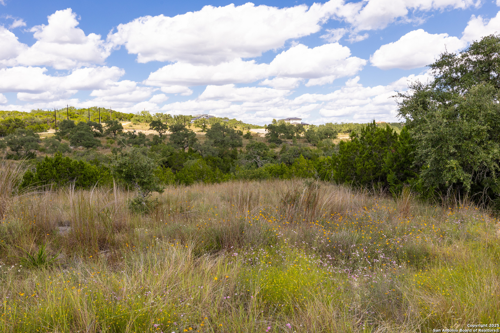 11309 Sloanes Ridge San Antonio, TX 78255 - Photo 11 of 19 a view of lake