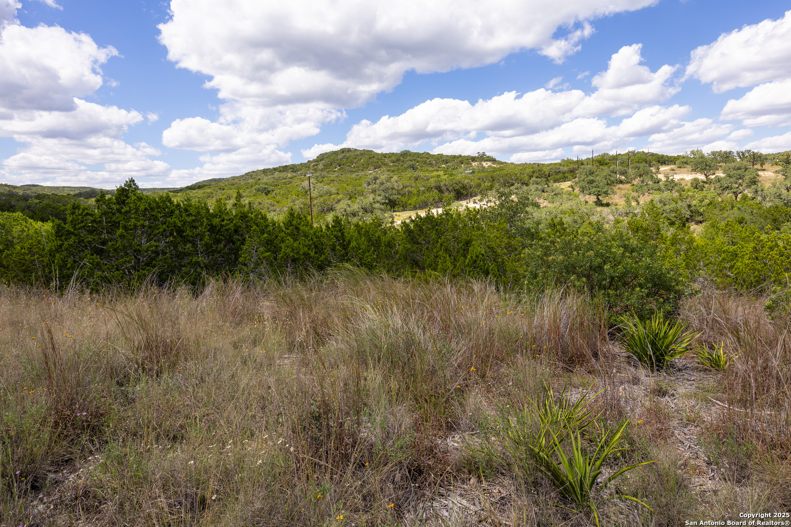 11309 Sloanes Ridge San Antonio, TX 78255 - Photo 12 of 19 a view of a lake from a yard