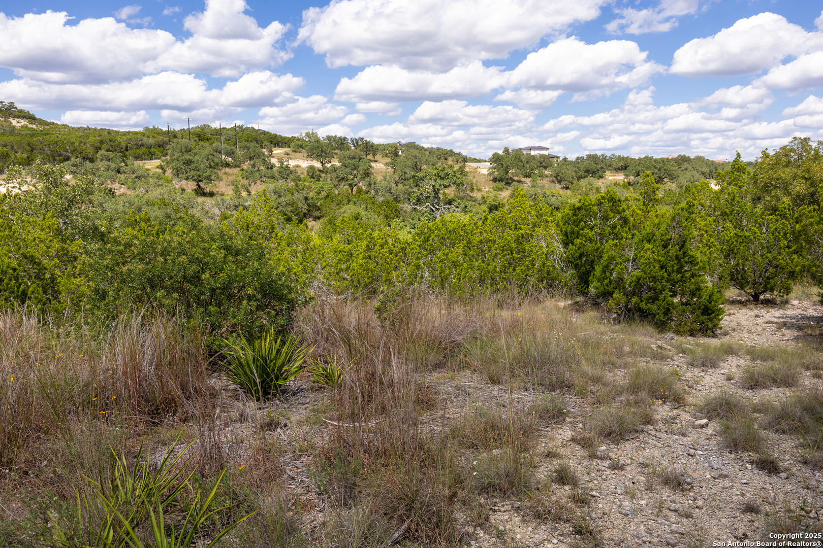 11309 Sloanes Ridge San Antonio, TX 78255 - Photo 13 of 19 a view of a yard