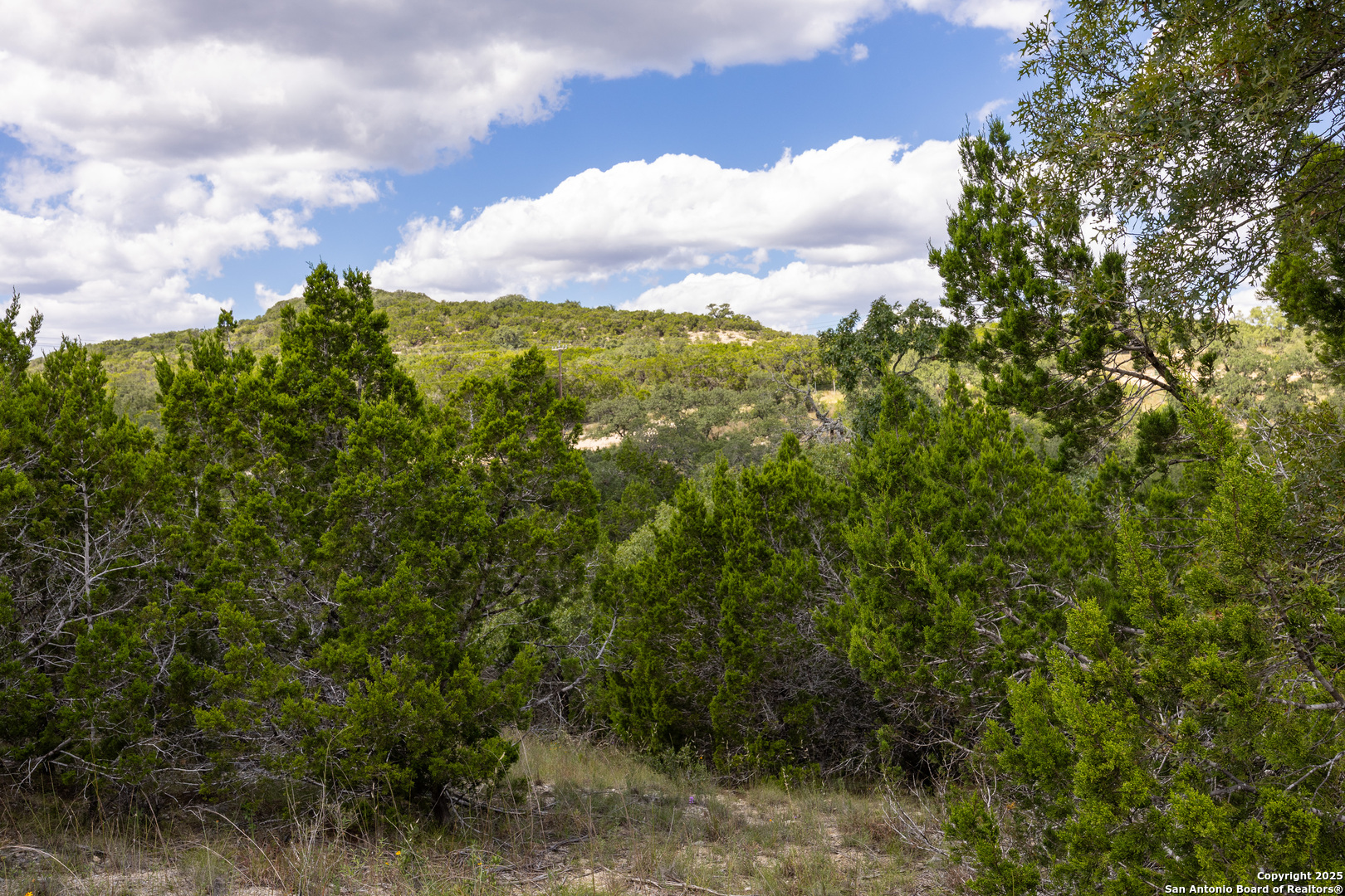 11309 Sloanes Ridge San Antonio, TX 78255 - Photo 15 of 19 a view of a lot of trees