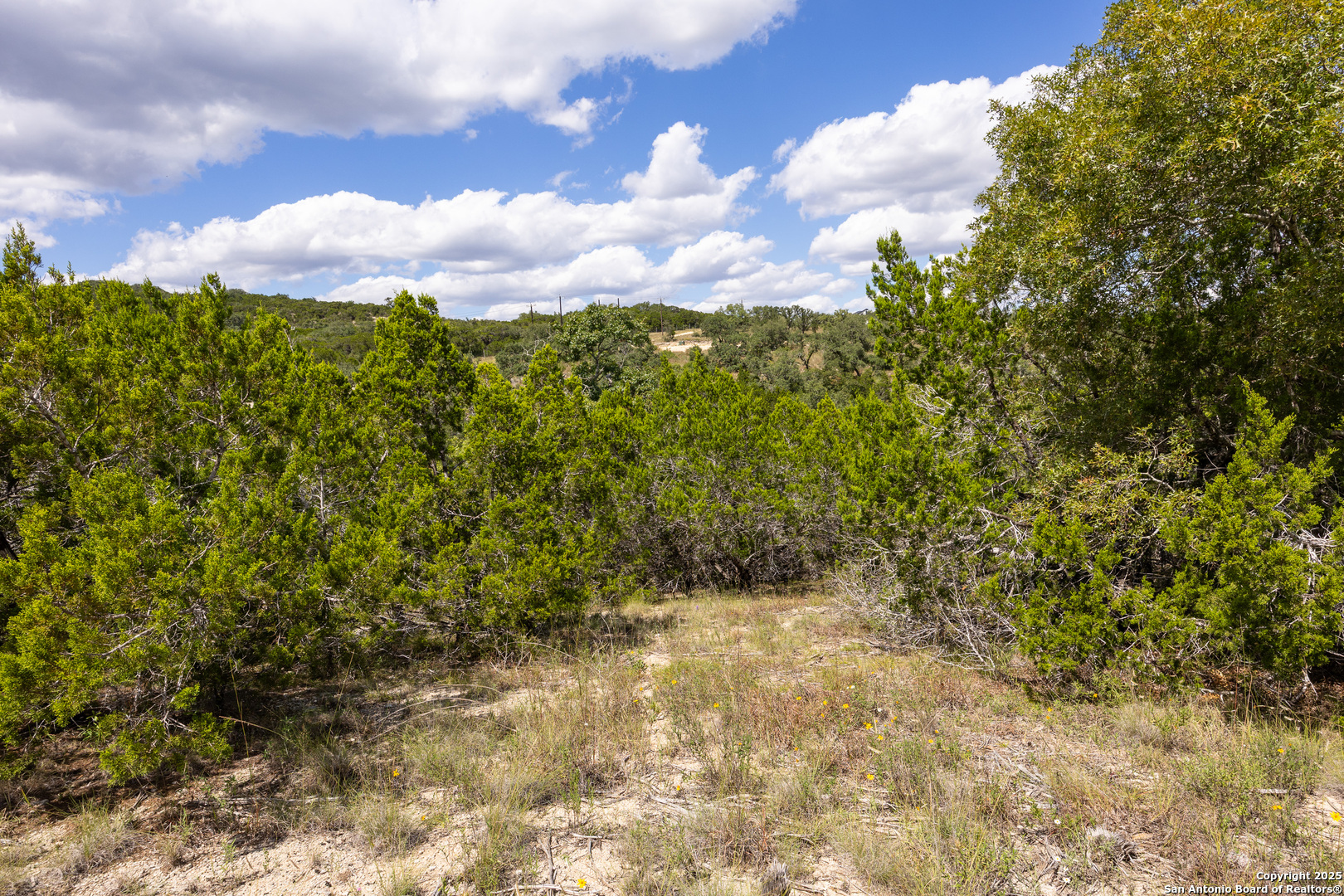 11309 Sloanes Ridge San Antonio, TX 78255 - Photo 16 of 19 a view of a bunch of trees