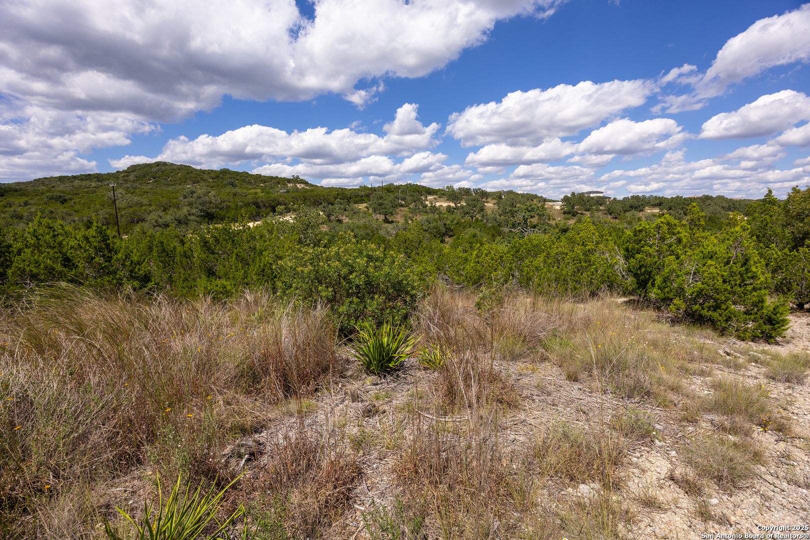 11309 Sloanes Ridge San Antonio, TX 78255 - Photo 17 of 19 a view of a lake with a house in the background