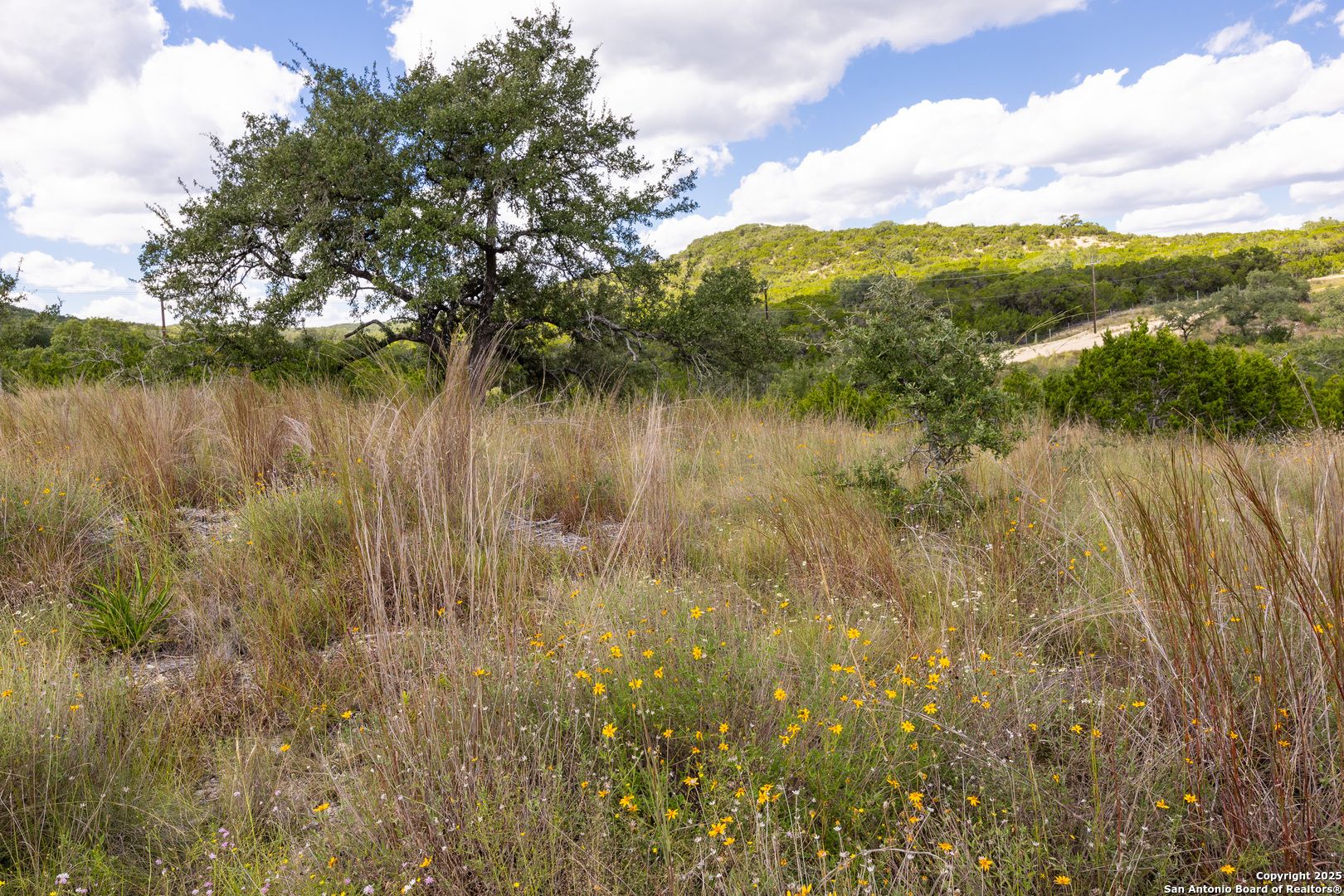 11309 Sloanes Ridge San Antonio, TX 78255 - Photo 5 of 19 a view of lake