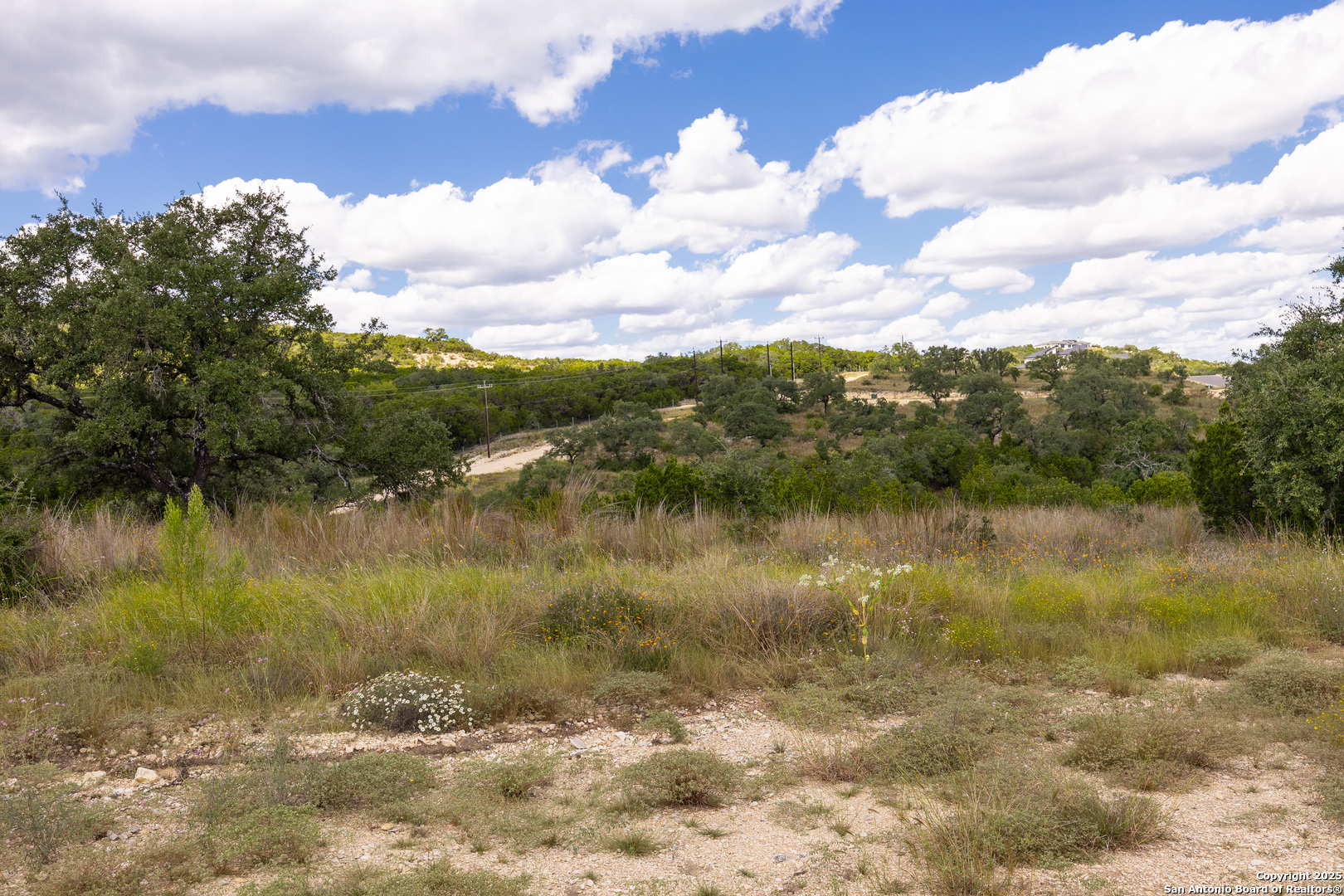 11309 Sloanes Ridge San Antonio, TX 78255 - Photo 8 of 19