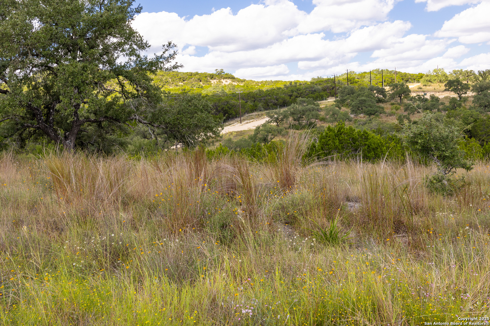 11309 Sloanes Ridge San Antonio, TX 78255 - Photo 9 of 19 a view of lake