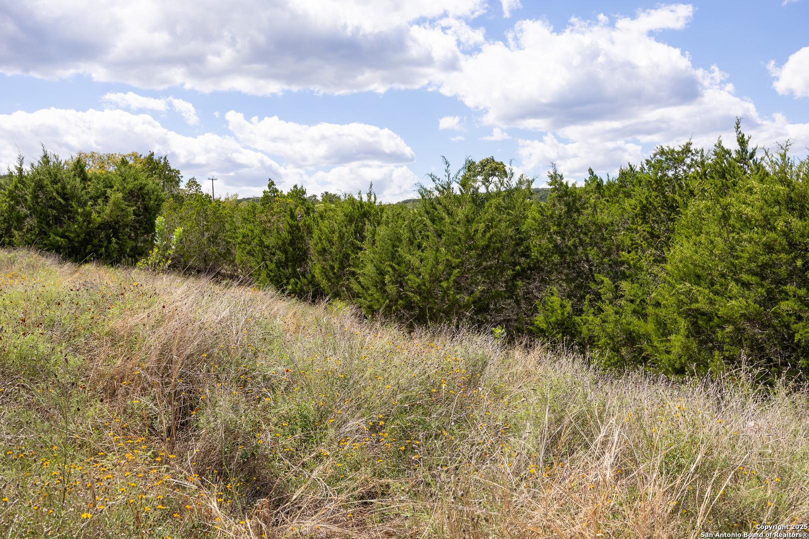 11309 Sloanes Ridge San Antonio, TX 78255 - Photo 10 of 19 a view of a lake with houses in the back