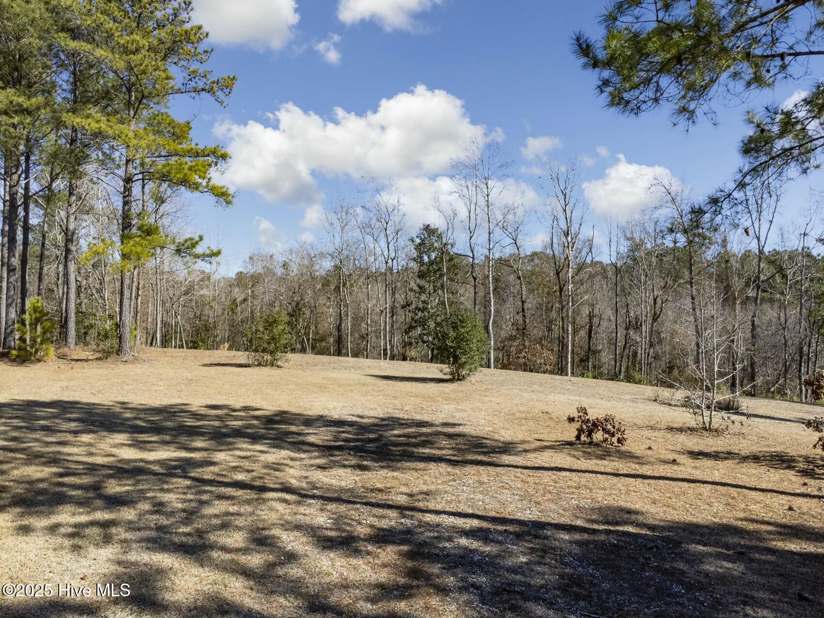 939 Union Bethel Road Hampstead, NC 28443 - Photo 4 of 18 2