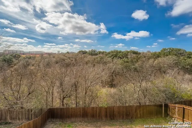 a view of a lake in middle of forest