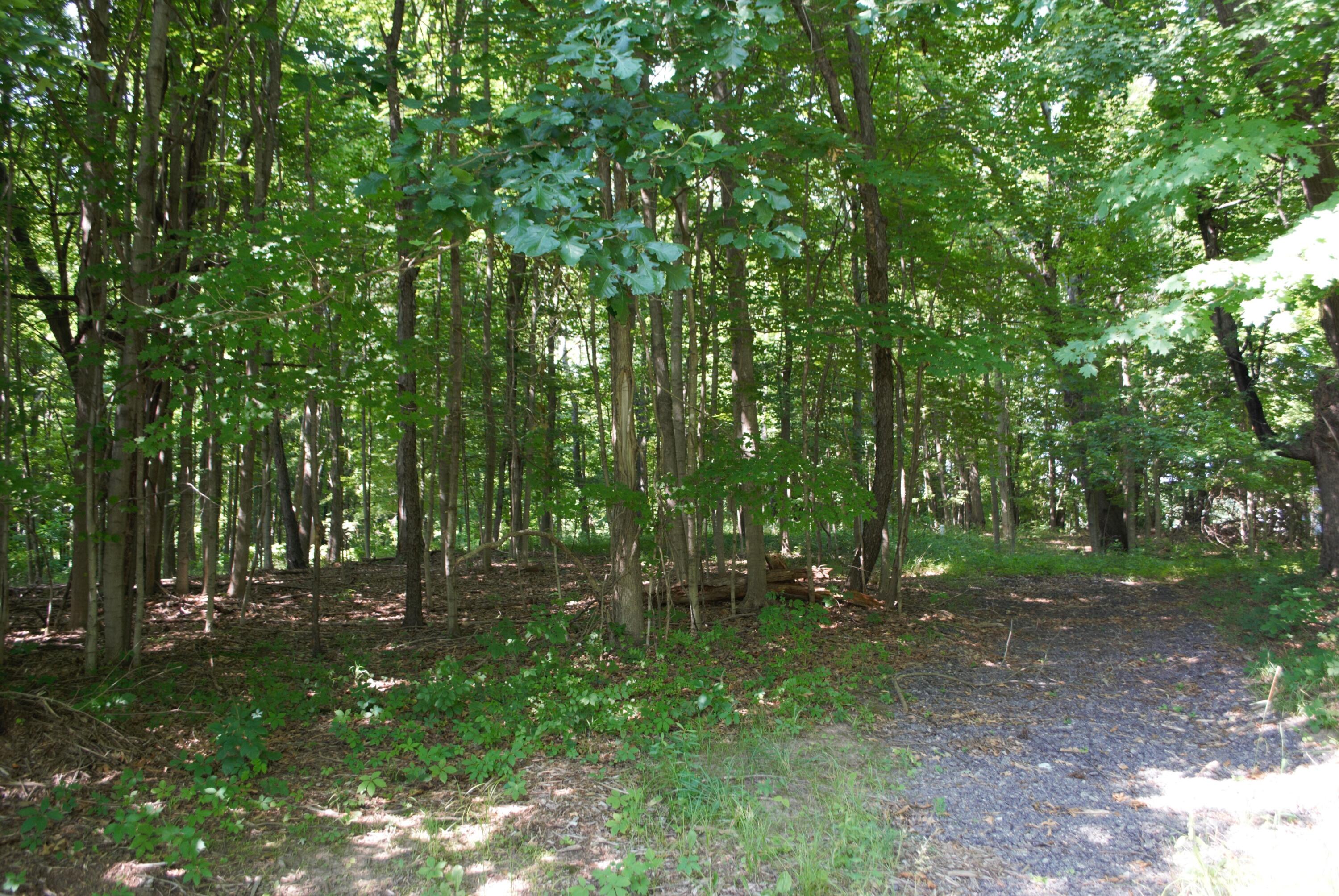 0 North Territorial Road Dexter, MI 48130 - Photo 9 of 9 DSC_0489