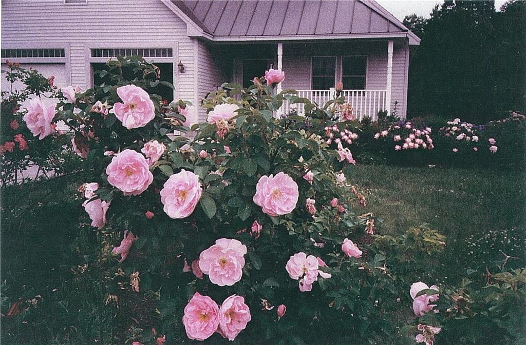 205 Chickadee Drive Bangor, ME 04401 - Photo 30 of 35 Photo