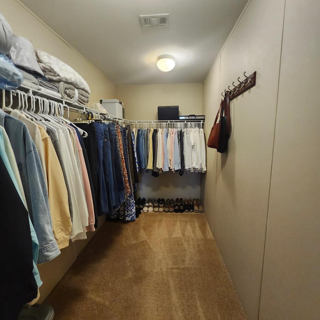 786 Blackberry Road Baconton, GA 31716 - Photo 30 of 67 Gallery Image 30