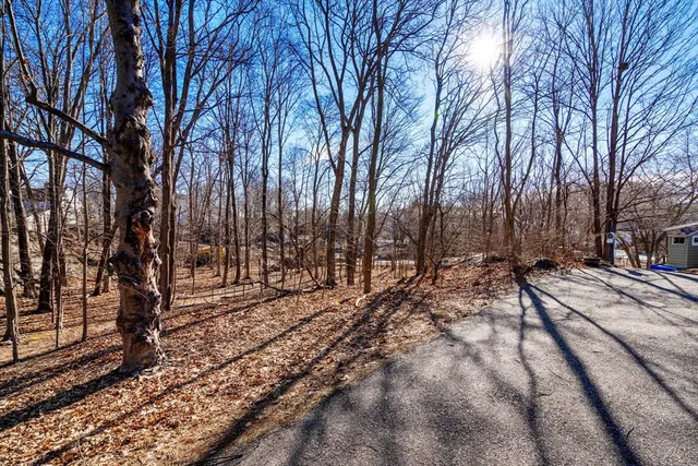 a view of a yard with trees