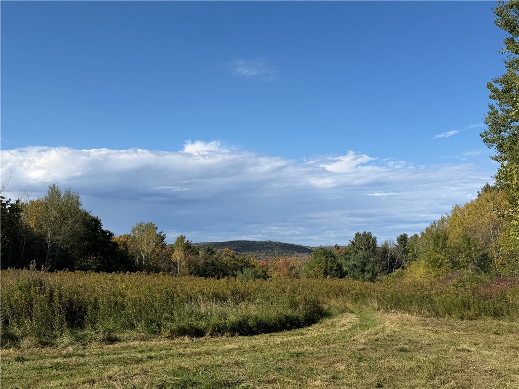 Hardnocks Road Unadilla, NY 13849 - Photo 5 of 11 Gallery Image 5