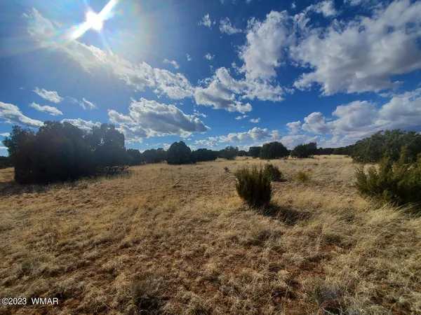 $9,900 | 5120 Concho Az 85924, Concho, AZ 85924
