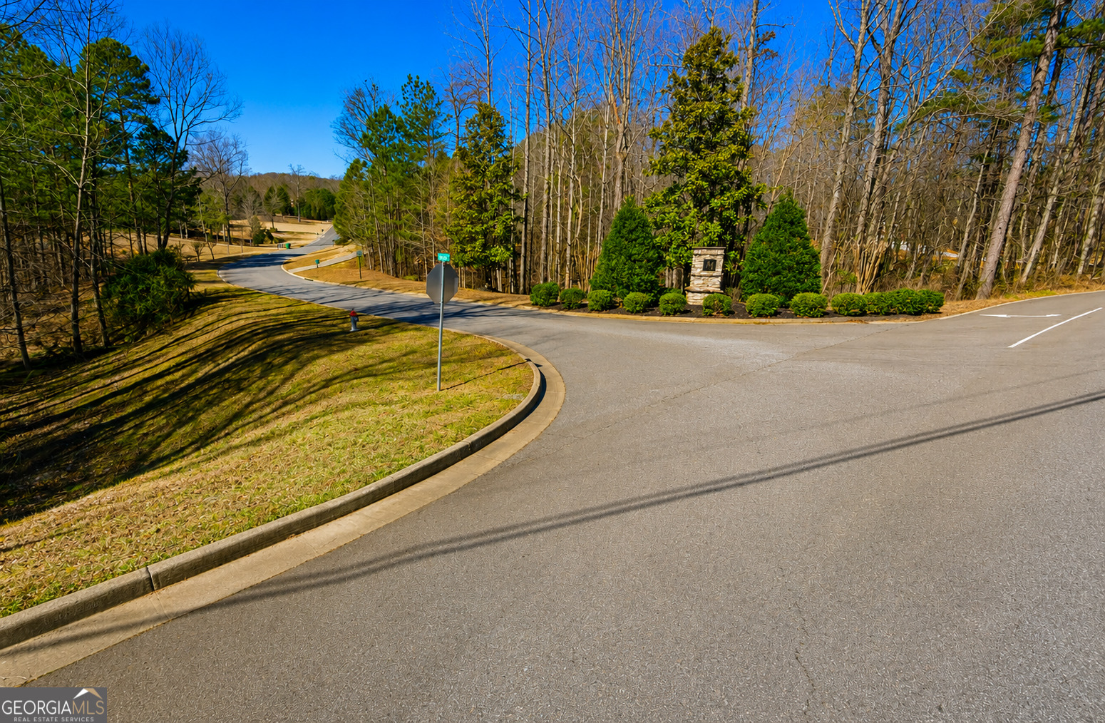 2-acres Pettit Road Jasper, GA 30143 - Photo 8 of 8