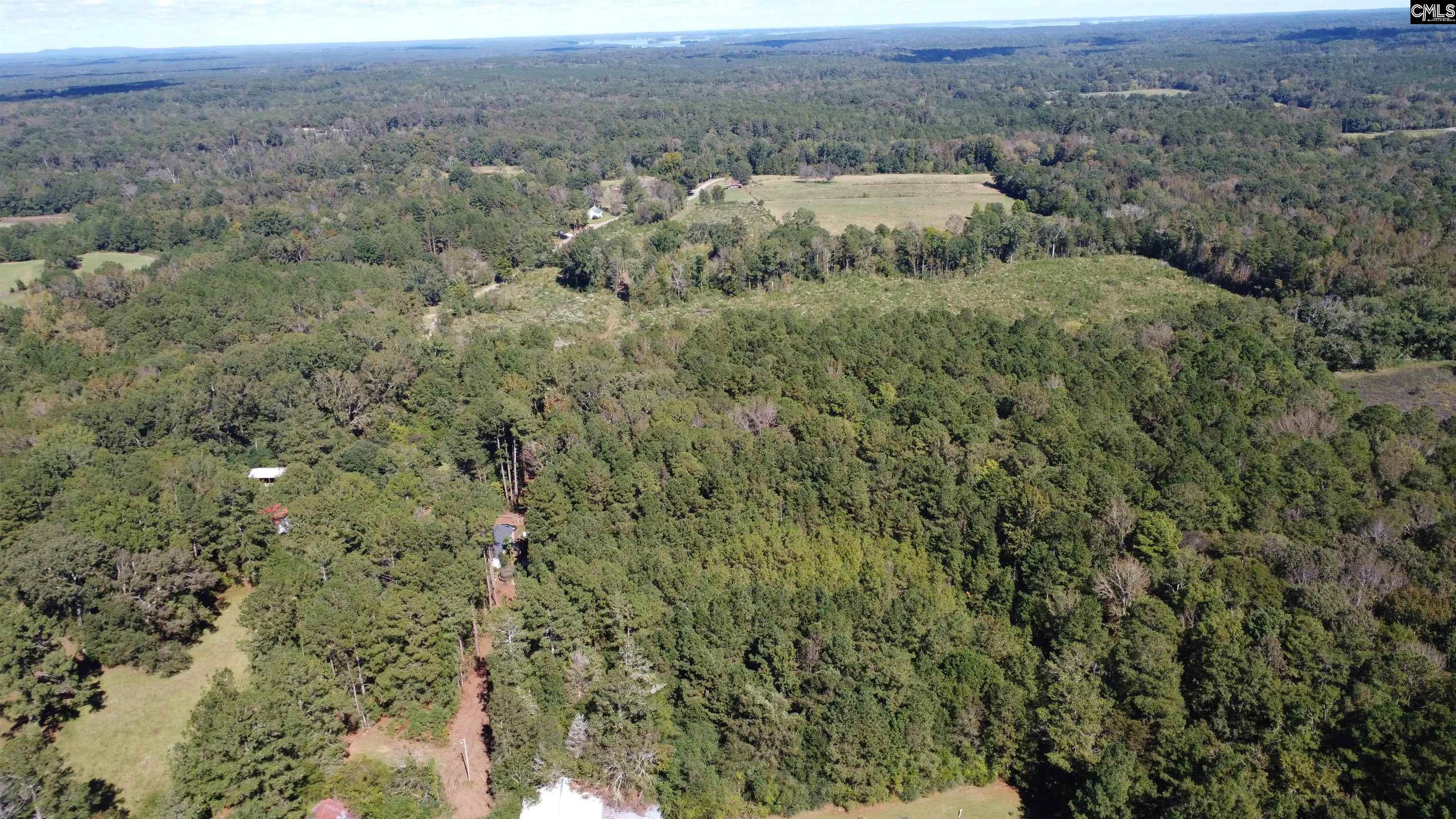 2045 State Rd S-32-235 Leesville, SC 29070 - Photo 50 of 50