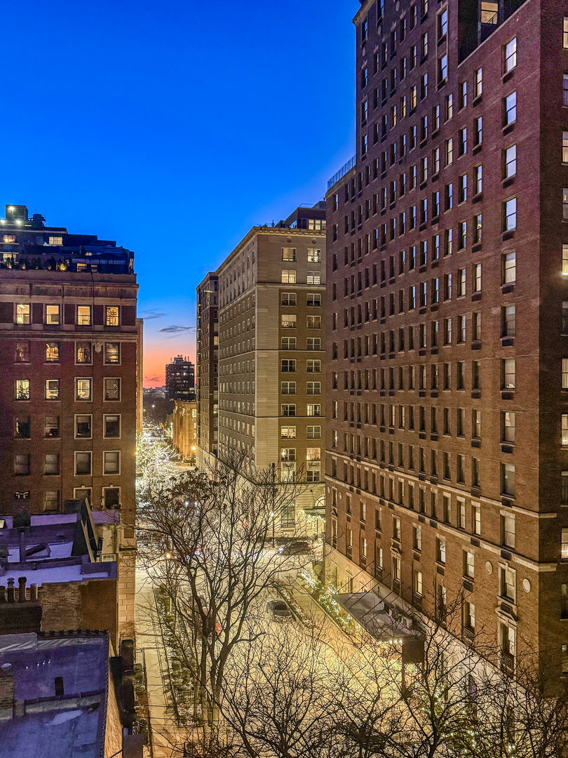 1260 North Astor Street, Unit 7 Chicago, IL 60610 - Photo 28 of 56