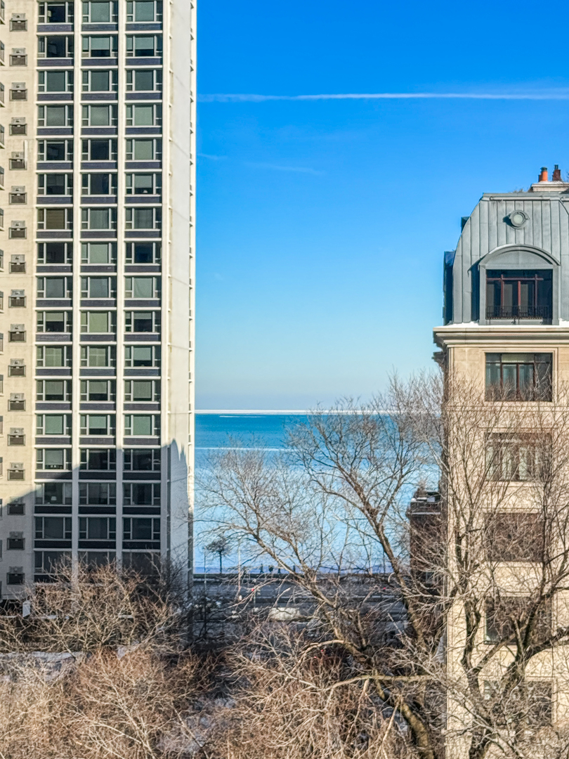 1260 North Astor Street, Unit 7 Chicago, IL 60610 - Photo 9 of 56