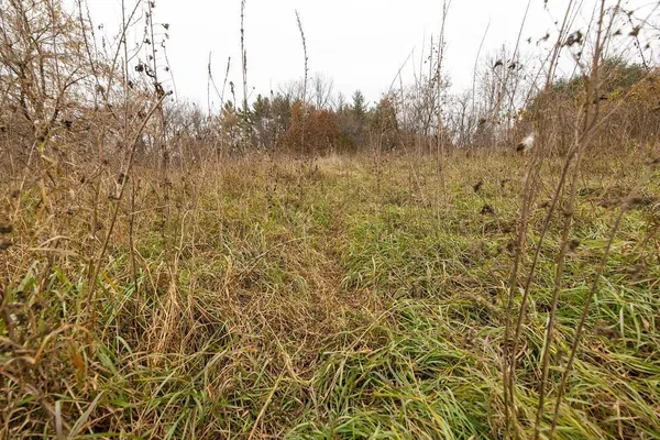 $325,000 | 0 County Road, Strum, WI 54770