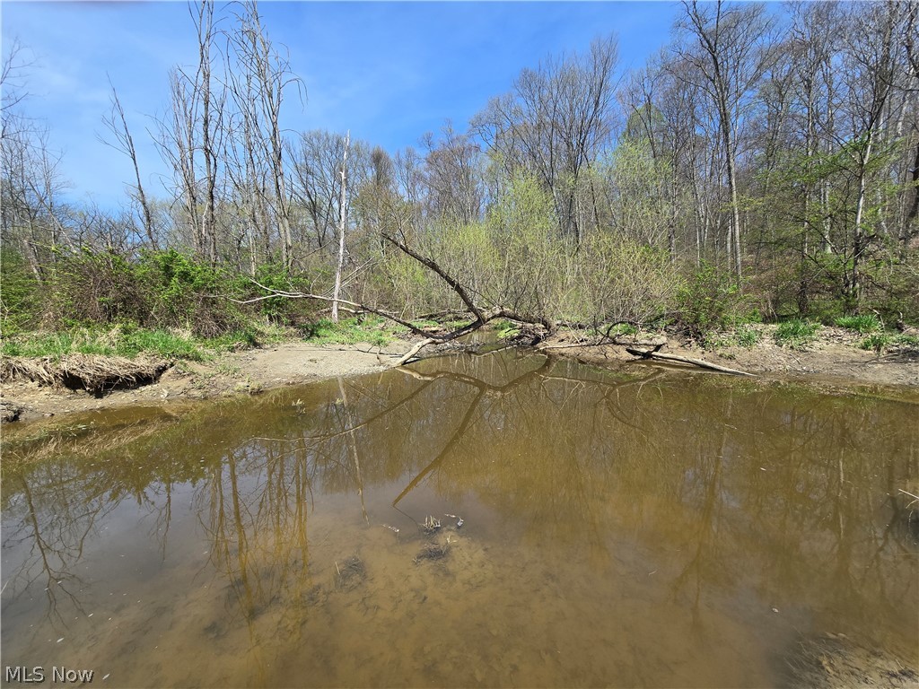 Tische Road Jefferson, OH 44047 - Photo 10 of 21