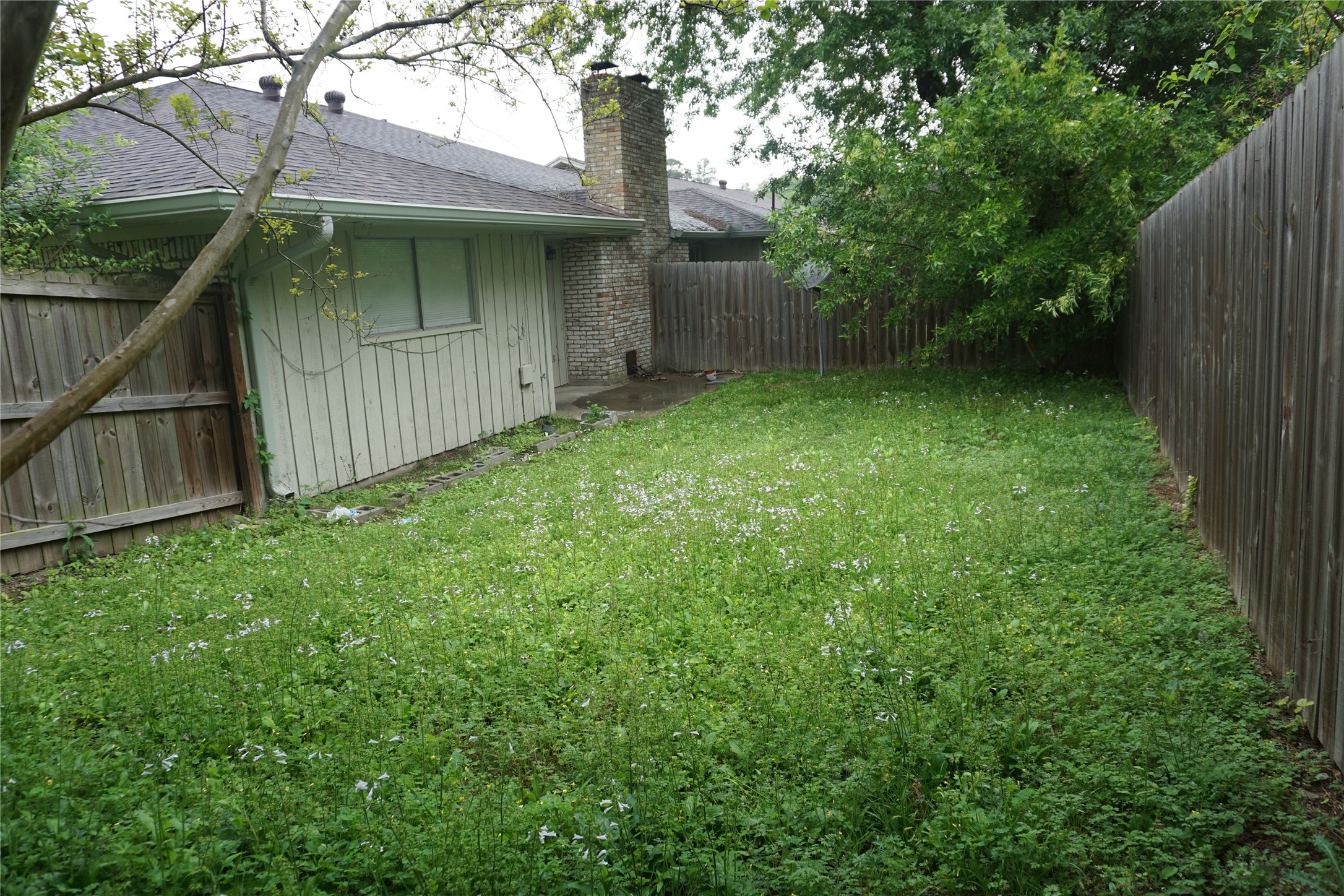 1913 Normal Park Drive, Unit B Huntsville, TX 77340 - Photo 26 of 29 a backyard of a house with lots of green space