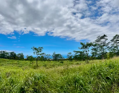$1,875,000 | Lot A Meyer Road, Pahala, HI 96777