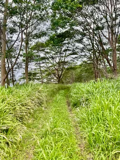 $1,875,000 | Lot A Meyer Road, Pahala, HI 96777