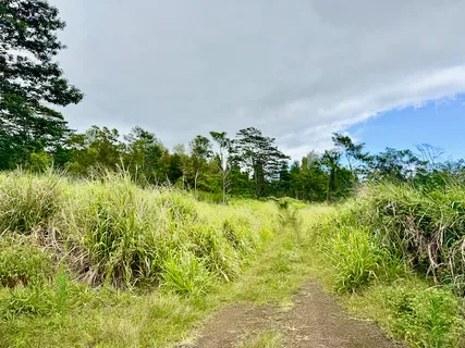 $1,875,000 | Lot A Meyer Road, Pahala, HI 96777