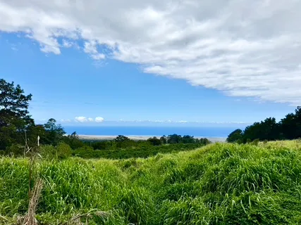 $1,875,000 | Lot A Meyer Road, Pahala, HI 96777