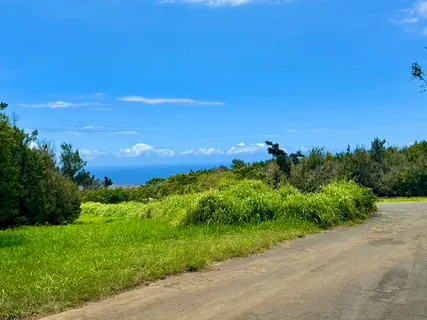 $1,875,000 | Lot A Meyer Road, Pahala, HI 96777