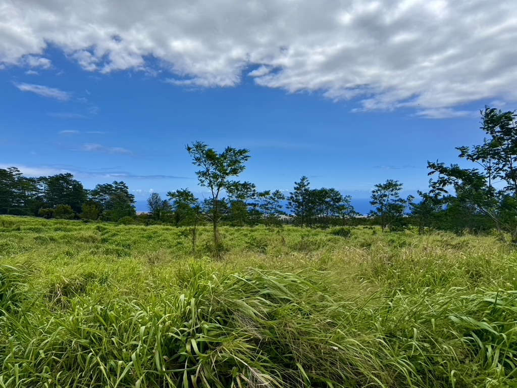 Lot A Meyer Road Pahala, HI 96777 - Photo 6 of 13 a view of a lake