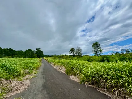 $1,875,000 | Lot A Meyer Road, Pahala, HI 96777