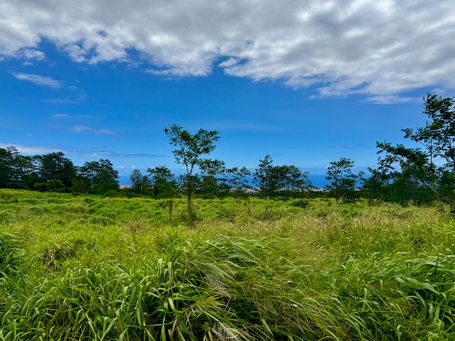 $1,875,000 | Lot A Meyer Road, Pahala, HI 96777