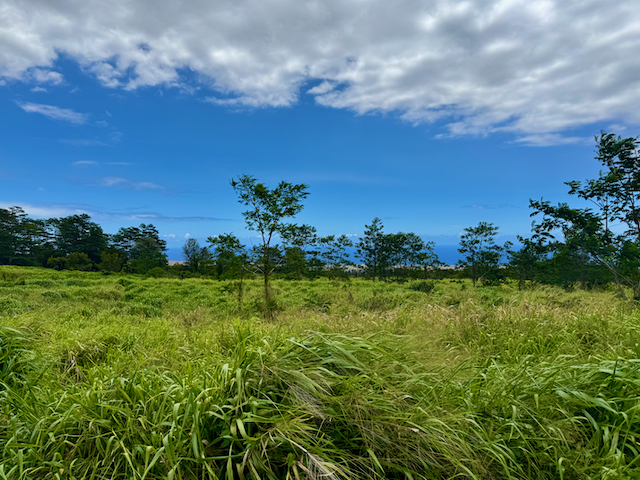 Lot A Meyer Road Pahala, HI 96777 - Photo 10 of 13 a view of a lake