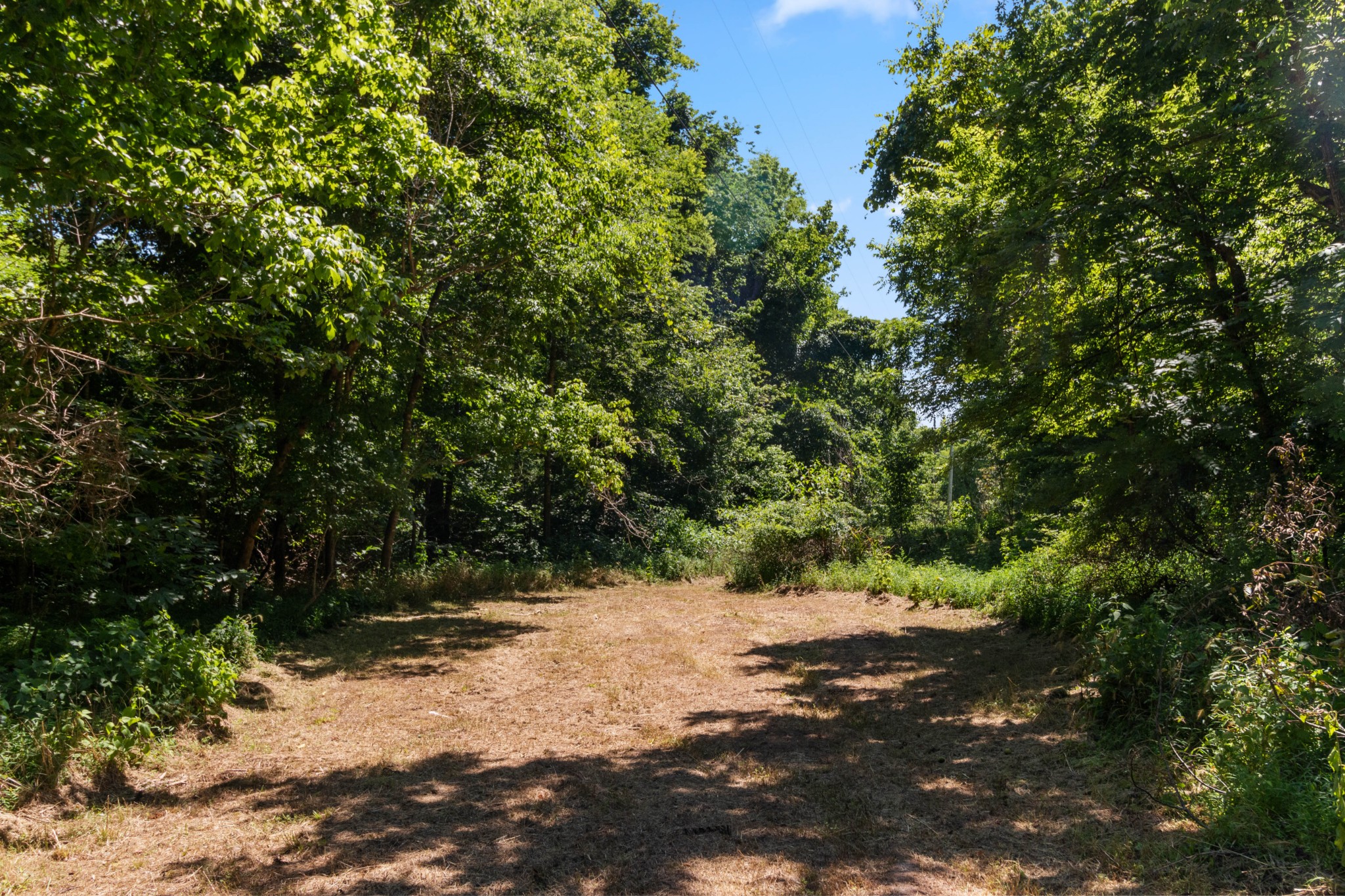 4561 Dugger Road Culleoka, TN 38451 - Photo 41 of 70 Gallery Image 41